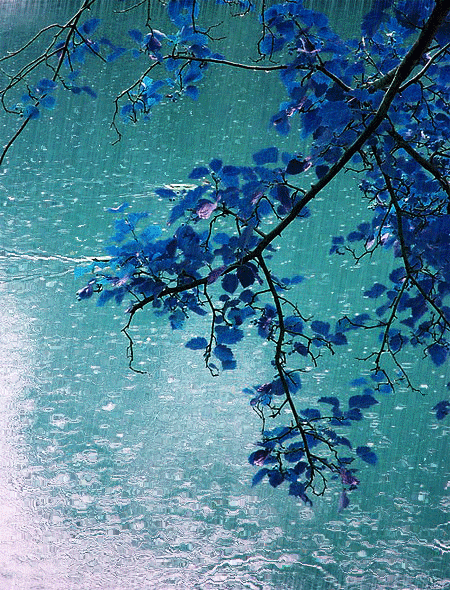 tumblr_mrklnmLErL1rou91ko1_500