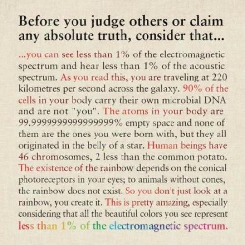 tumblr_mubup7P5cK1qzlro6o2_500