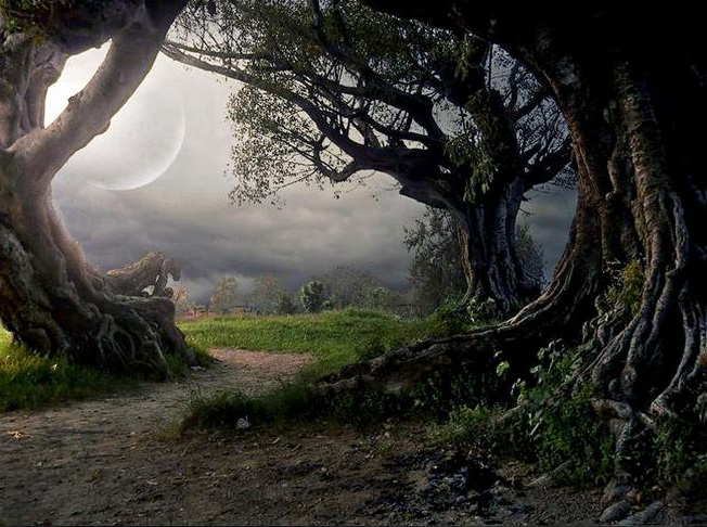 tumblr_mtdkntsL6G1s2z59jo1_1280