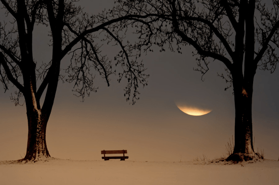 tumblr_lxtxpwQB5y1qku3fuo1_1280