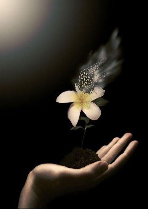 tumblr_n03253gyKK1rav43uo1_500