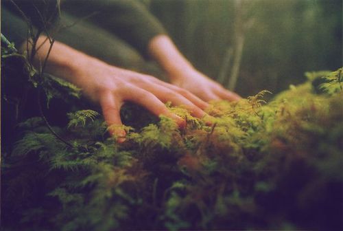 tumblr_mz9ikmCjFG1rcnkero1_500