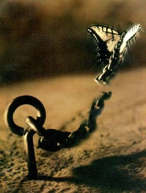 tumblr_mzumdb1eDb1s2z59jo1_1280