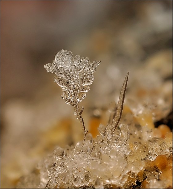 tumblr_n0banjxbRe1s2z59jo1_1280