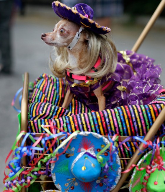 solbwqjke2bk8lq3civi