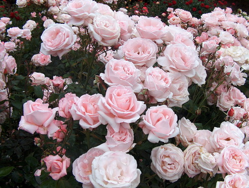 tumblr_m7jticO6Qq1rtfb73o1_500