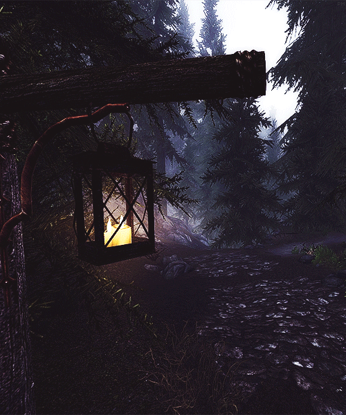 tumblr_n40whbtdU41qa7gx5o1_500