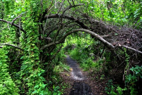 tumblr_n4exm2jPku1qixiezo1_1280