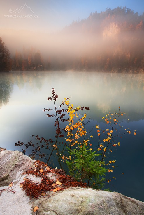 tumblr_n4fndopeKO1qbmsleo1_500