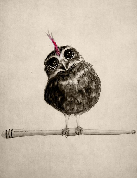 tumblr_n4ikc2rM671r89lywo1_500