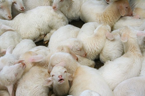 tumblr_meim9rS2Ce1rguz4ho1_500