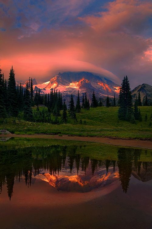 tumblr_n5cdedMcz11r2zs3eo1_500