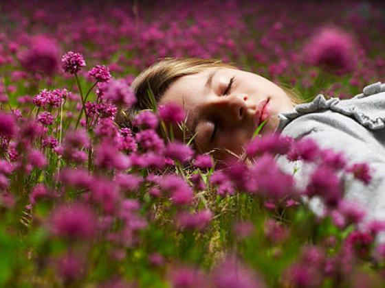 alg-dreaming-sleeping-jpg