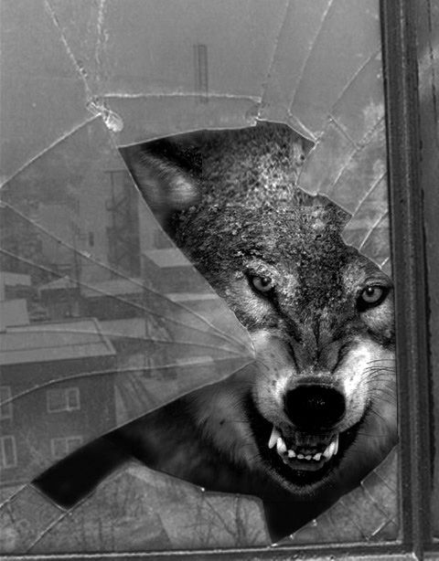 tumblr_n5uqgs4MJc1svaez5o1_500