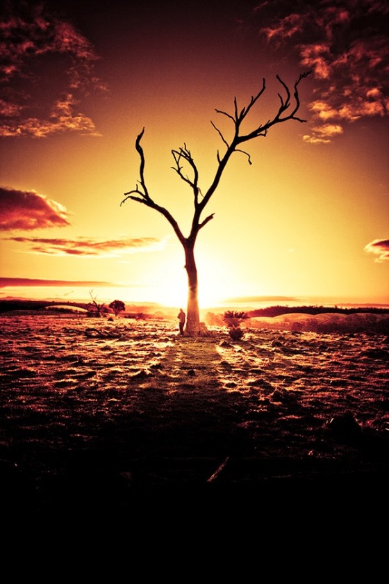 tumblr_n6u38peQCQ1rgfa66o1_1280