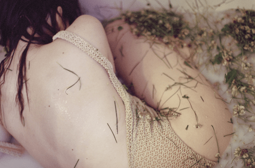 tumblr_n7j7287a4i1r1arpmo1_500