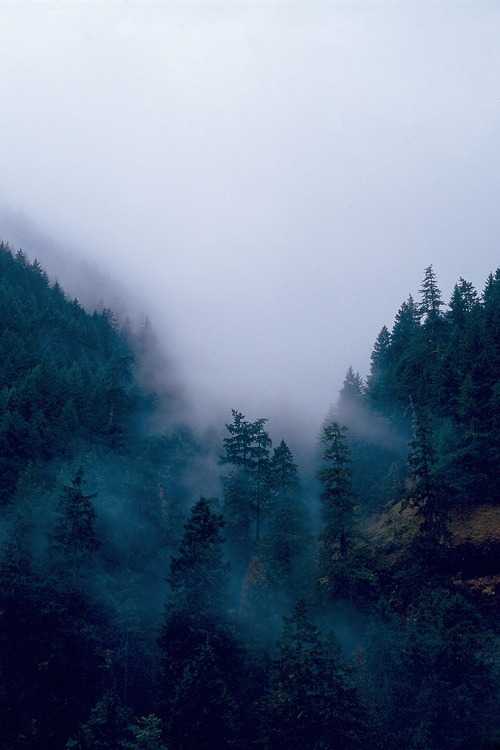 tumblr_myj6r8q3H91renu7bo1_500