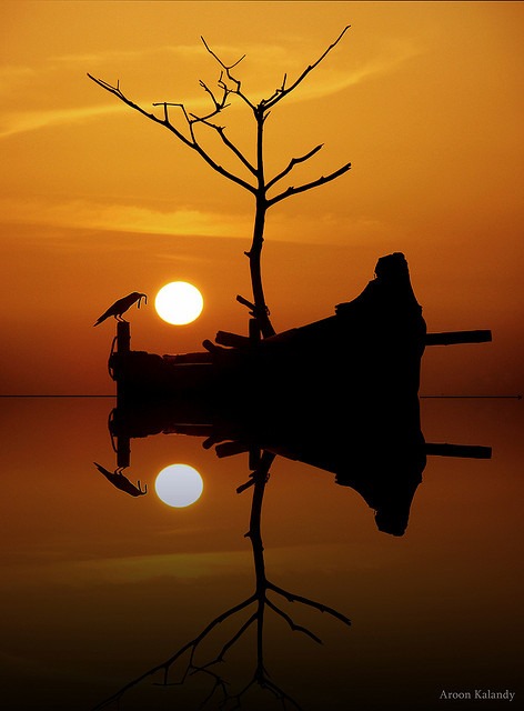 tumblr_mql7fnG14x1szm930o1_500