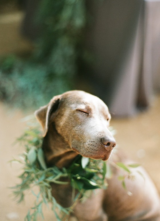 tumblr_n9mskd8iJS1soc97qo1_1280