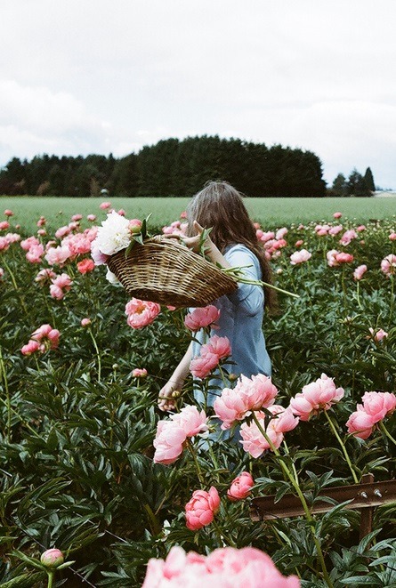 tumblr_mwp5glJ8t21rs346ao1_500