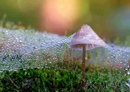 tumblr_n9g9f940Kd1qgo6q6o1_500