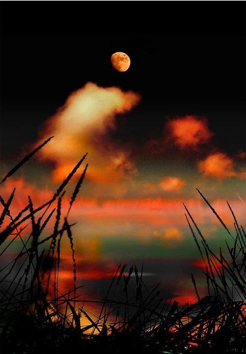 tumblr_nb0w8uU1IU1s2z59jo1_500