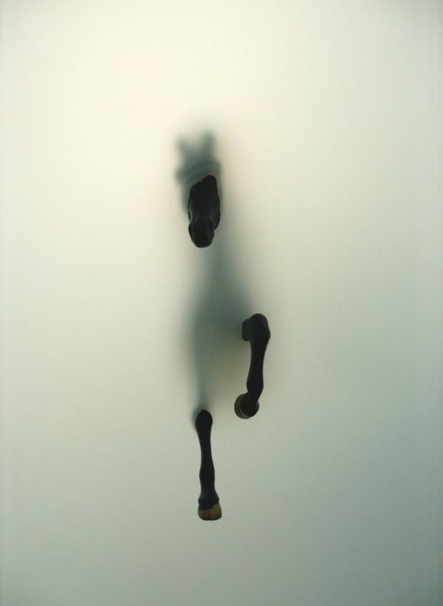 tumblr_nckjh4ew7b1t1cy7no1_500