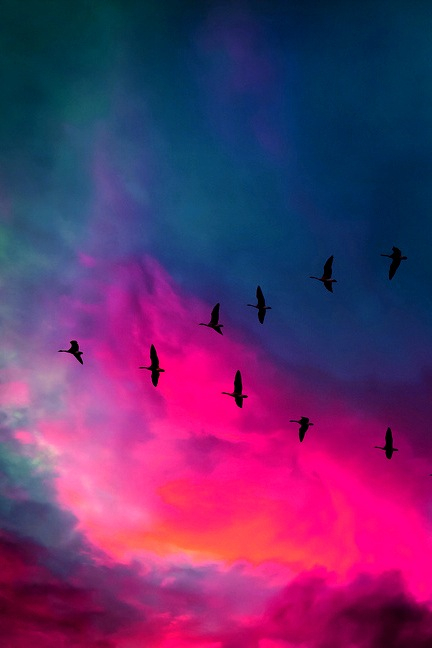 tumblr_ncw22iM2fb1tpdcs9o1_500