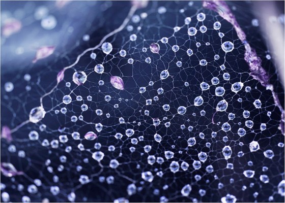 tumblr_ndbqzwRQYs1tic5ovo1_1280