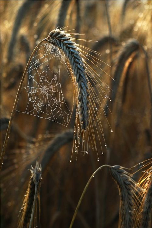 tumblr_ndls0kRwc01sqtk49o1_500