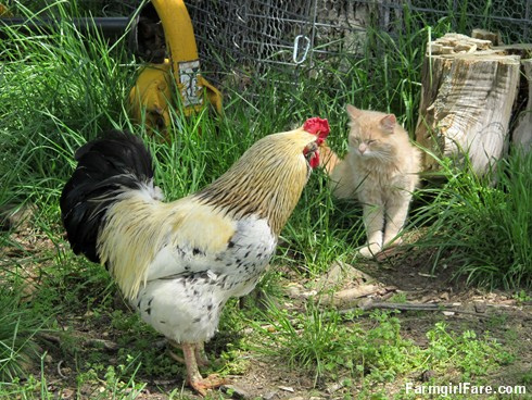 8963078244_81ce3d7e29