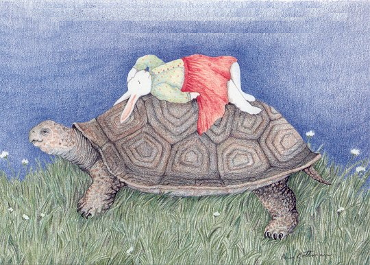 BdayCardHareRidesTortoise300