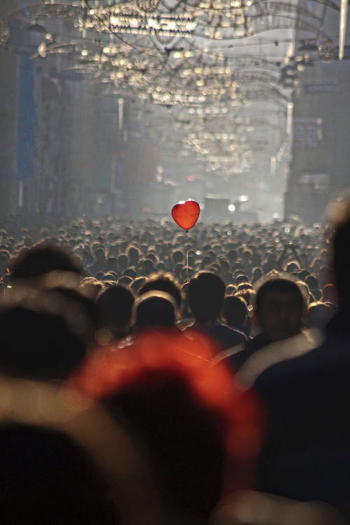 tumblr_negzte6SY41rub0hvo1_500