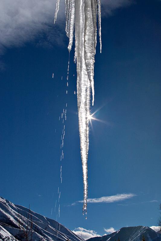 icicle (1)