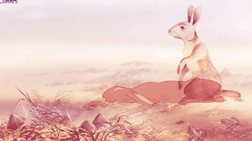 tumblr_m2a0n0HFGX1qj6zmko1_500