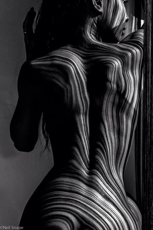 tumblr_n6ji2gedCm1rfxi3qo1_500