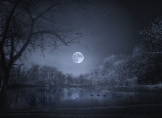 tumblr_nex8mdJVcZ1s2z59jo1_1280