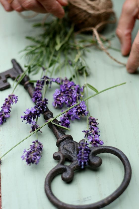 91c1a971aa9dbd2c6df7af97fd03c42a