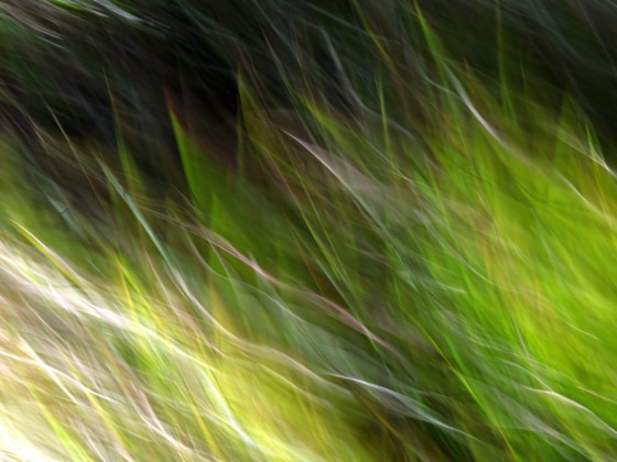 tumblr_lryarnR3XO1qzs7m3o1_1280