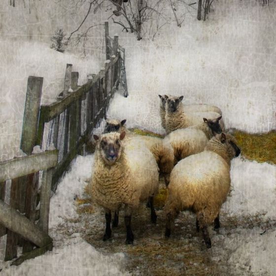 ab1b96bff70ea85ee6e04e5c1aa30544