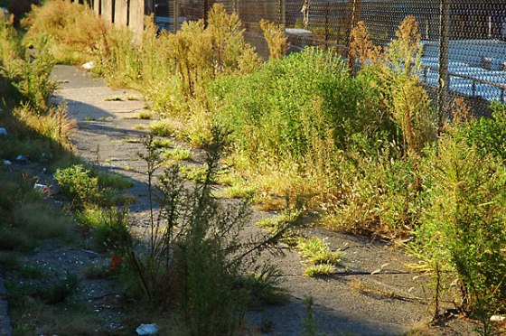 fredhatt-2004-sidewalk-reclaimed