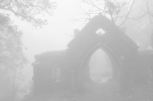 tumblr_mxyq6k6Tow1ra0exdo1_500