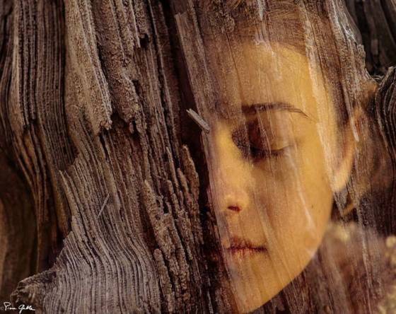 tumblr_nkcu99jEau1rebxsto1_1280