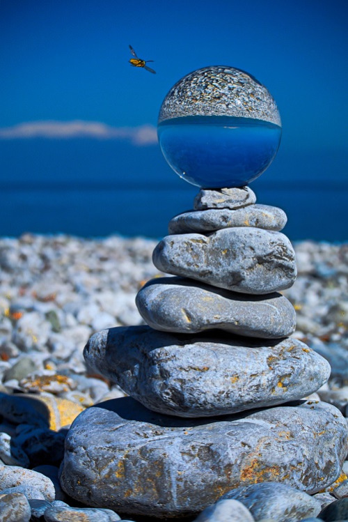 tumblr_nkwoymmVUu1spq83no1_500