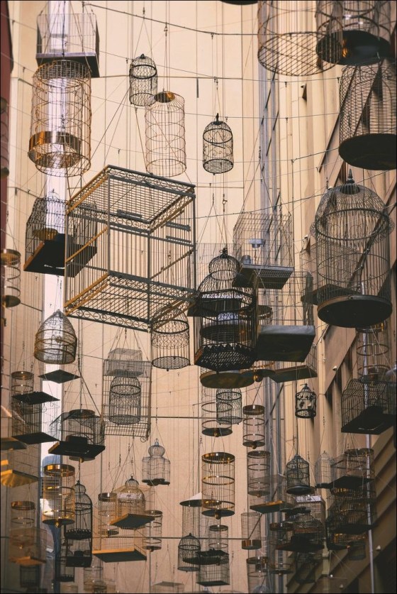 tumblr_nlbnlqhvMy1r2zs3eo1_1280