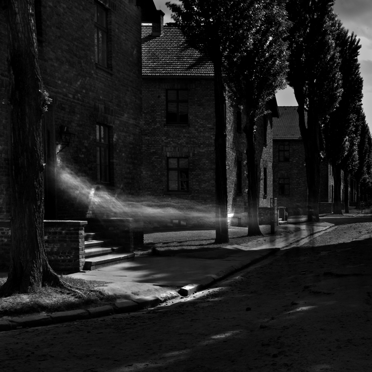 2008-5-10 Auschwitz No 2 - Final 6-24-2008 750