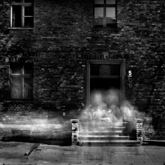 2008-5-10 Auschwitz No 5 - 6-24-2008 750