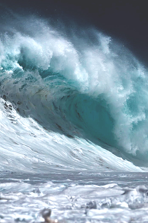 tumblr_mv4lfyu1MH1szrg39o1_r1_500