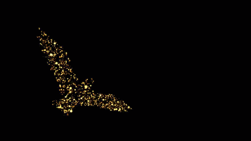 tumblr_njdkjrIYel1qif1wro1_500