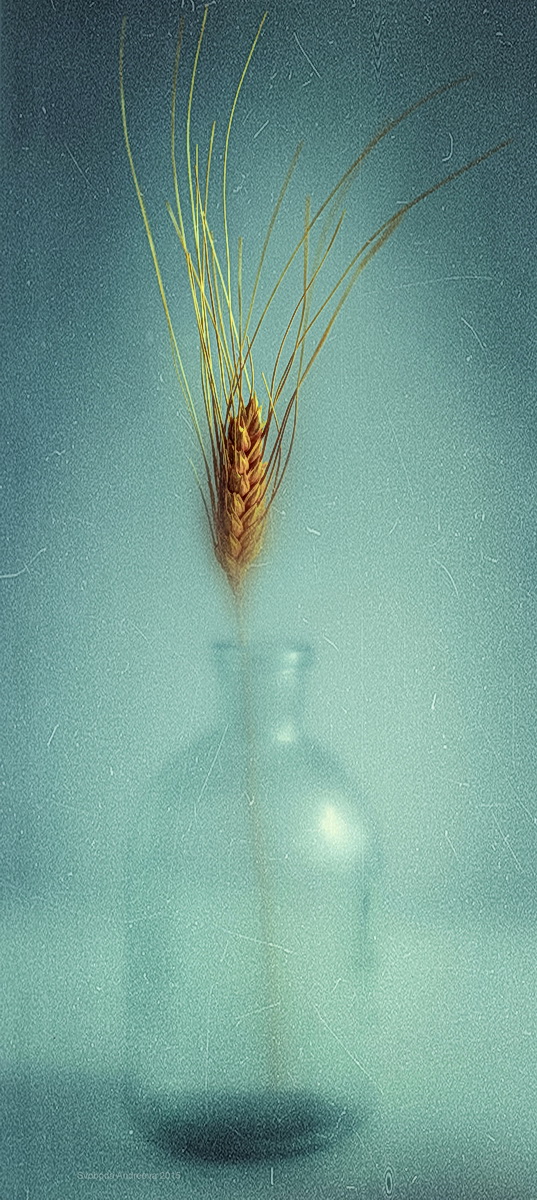 tumblr_nk2e63h5xO1s2z59jo1_1280